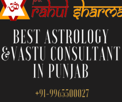 Best Astrologer IN Mohali CALL US